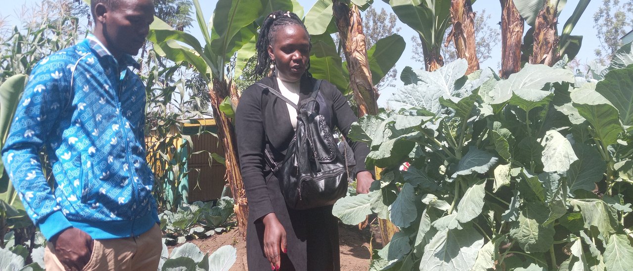 GATP- Alumni at Nakuru agricultural show, observing vertical farming techniques